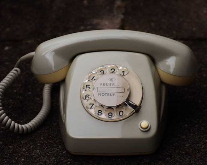 臍帶血：你一定要知道的關鍵知識與行動指南